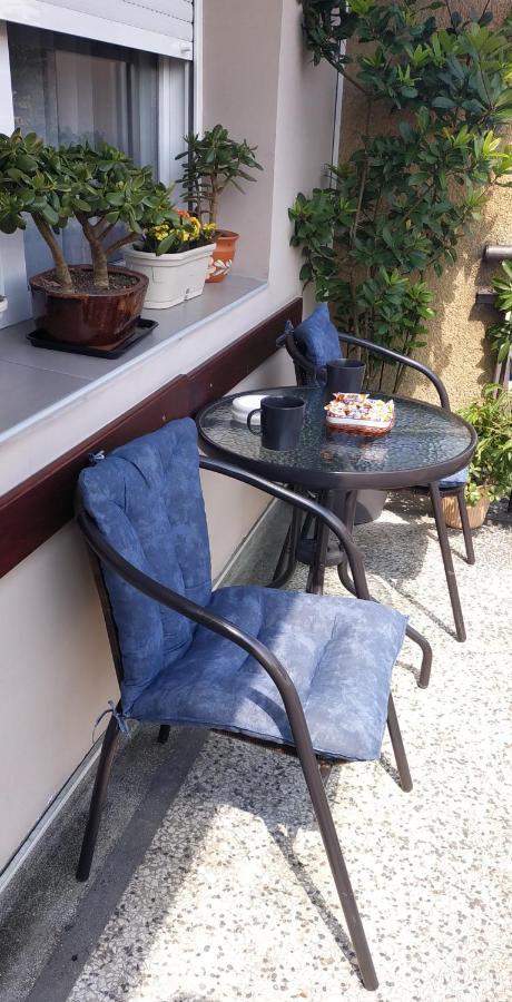 Apartman Rada 皮罗特 外观 照片